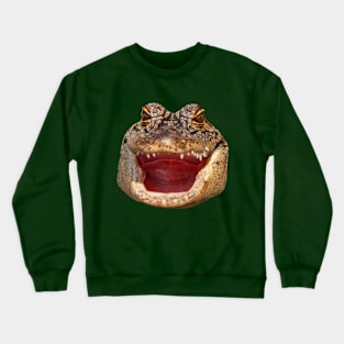 Open wide for the Dentist Crewneck Sweatshirt